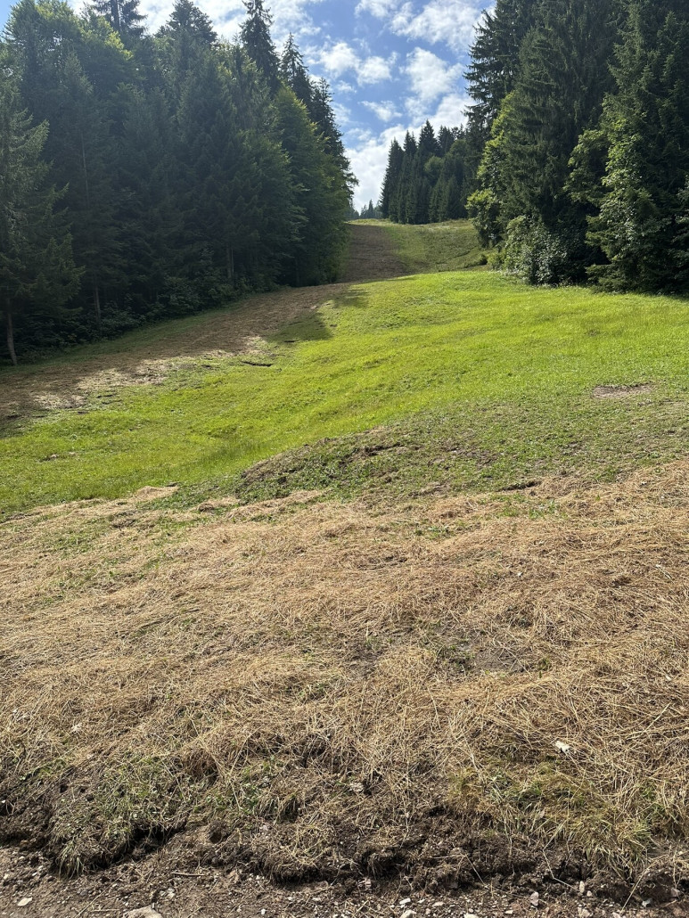 Beschneiung Piste im mittleren Bereich. Scheint soweit abgeschlossen