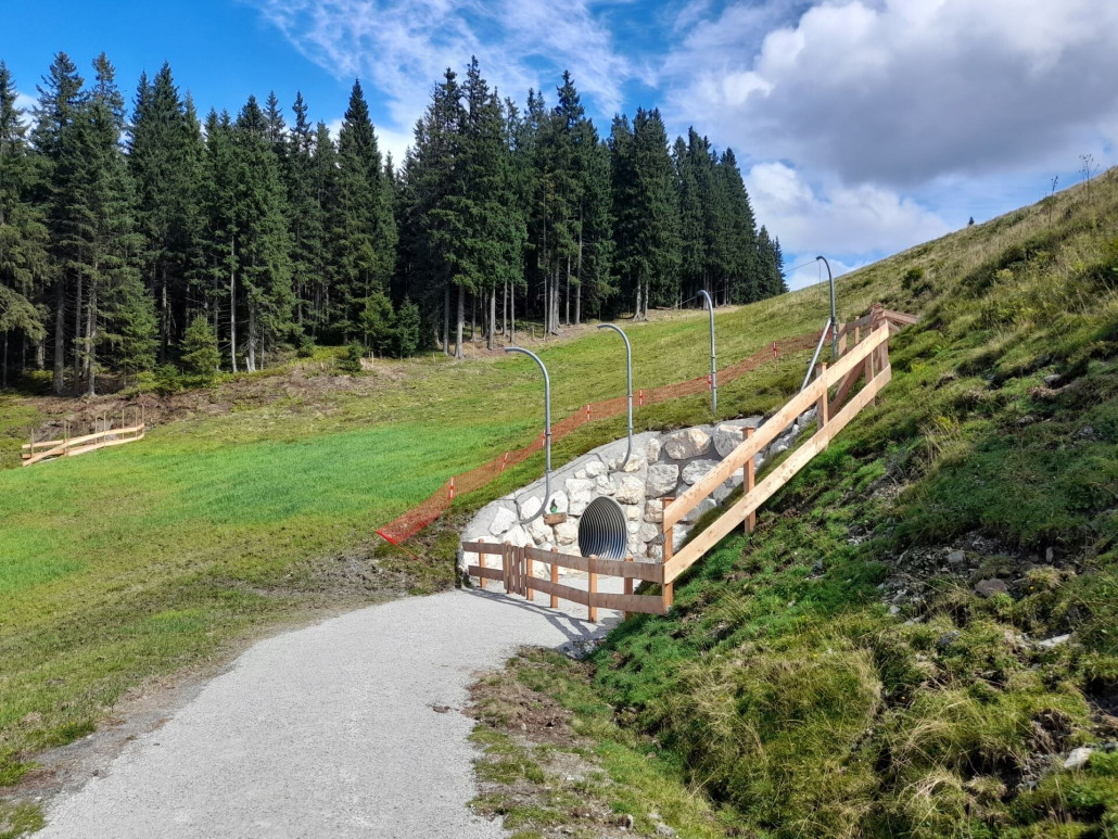 Fußgängerunterführung Tanzbodenabfahrt