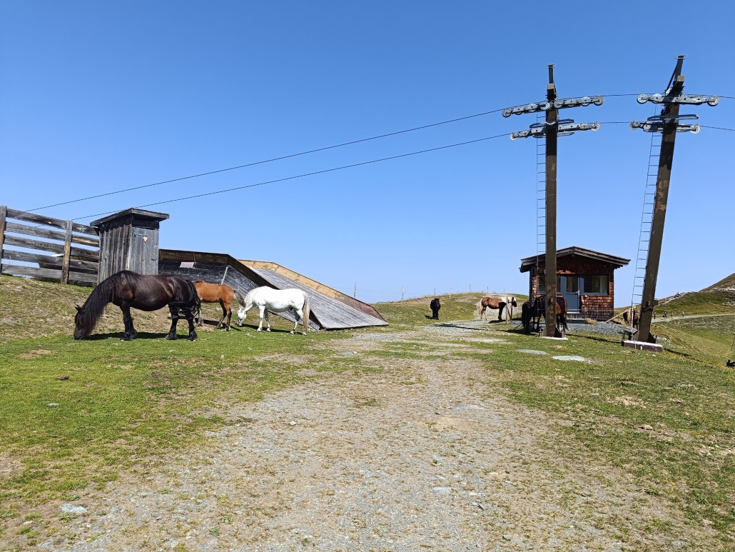 Bergstation Seekarlift