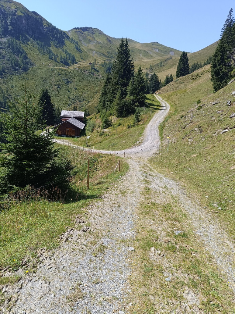 Skiweg vom Zehner zum Seekarlift