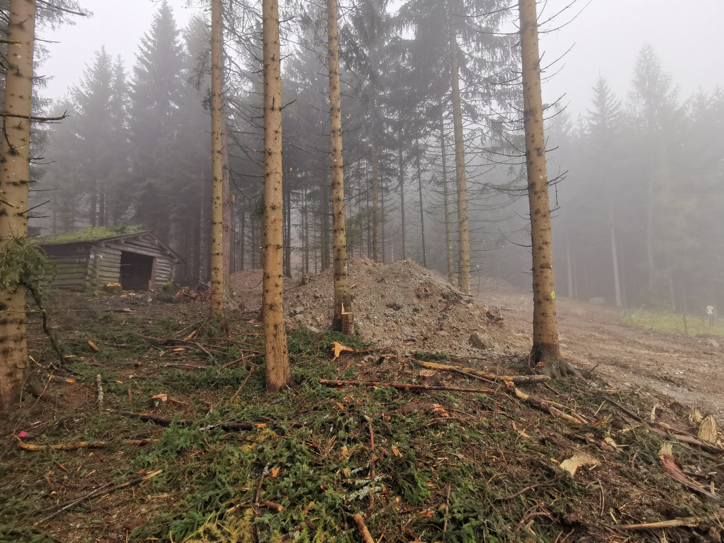 Überall im Wald wurden Schotterhaufen für den Bau des Bikeparks reingekippt. Hoffentlich werden die Strecken noch dieses Jahr gebaut, schön ist es so auf jeden Fall nicht. Und man sieht, der Wald wurde ordentlich zurückgeschnitten