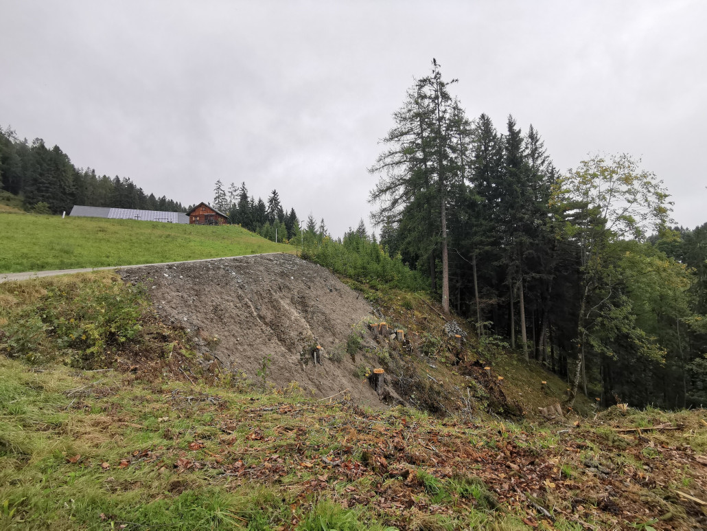 Hier oberhalb des Parkplatz an der Talstation der neuen Bahn soll ein Teil des Aushubs hinkommen.