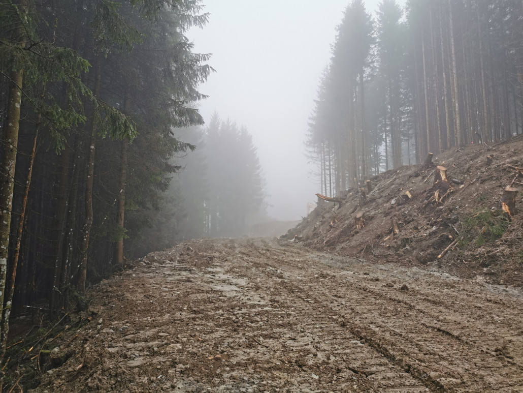Mittlerweile wurde die Piste verbreitert. Blick nach oben. Rechts oberhalb des Hanges ist der neue Verlauf der Bikestrecke.