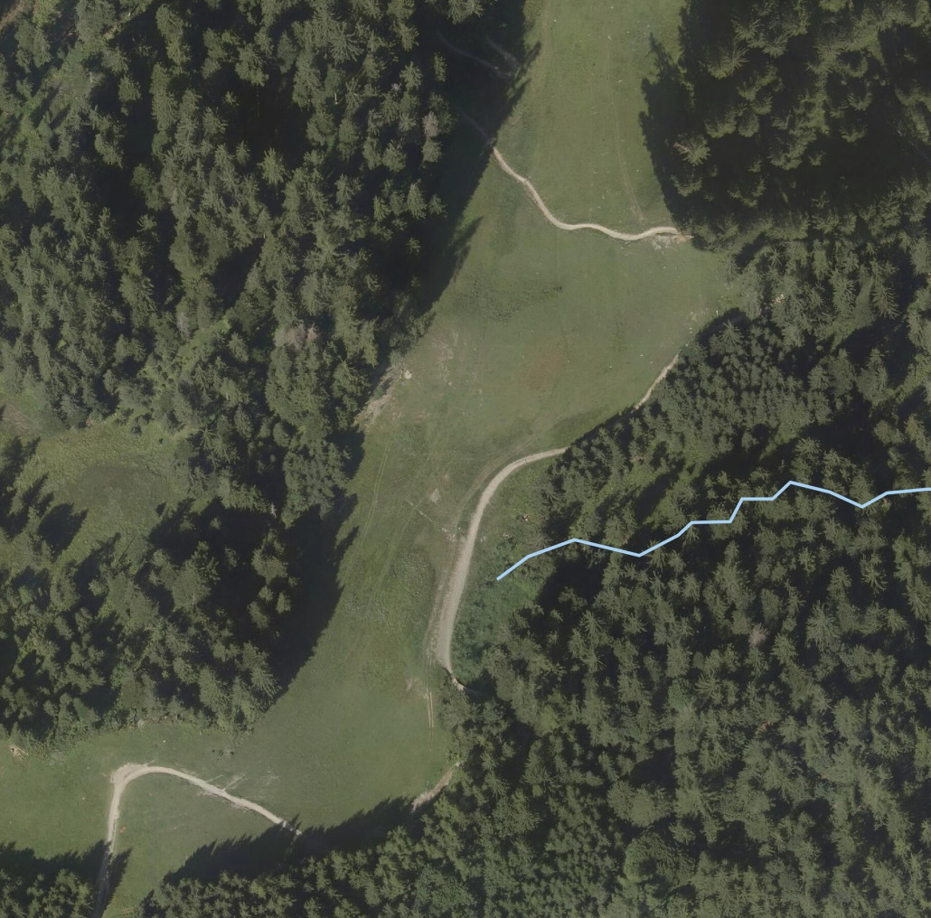 Hier das Vergleichsbild aus Vogis wie es davor aussah. Einfach eine gerade Strecke die sich ohne Mehraufwand als Piste nutzen lässt.