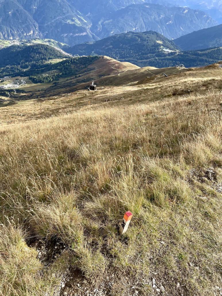 Linke Bildmitte Stützenmarkierungen