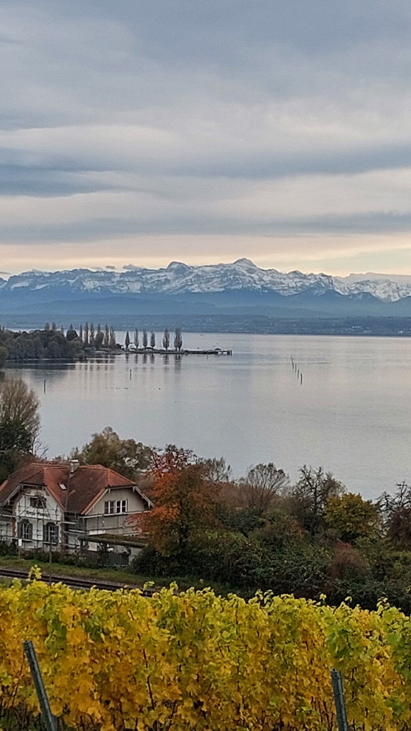 Blick von der Birnau über den Bodensee zum Säntis
