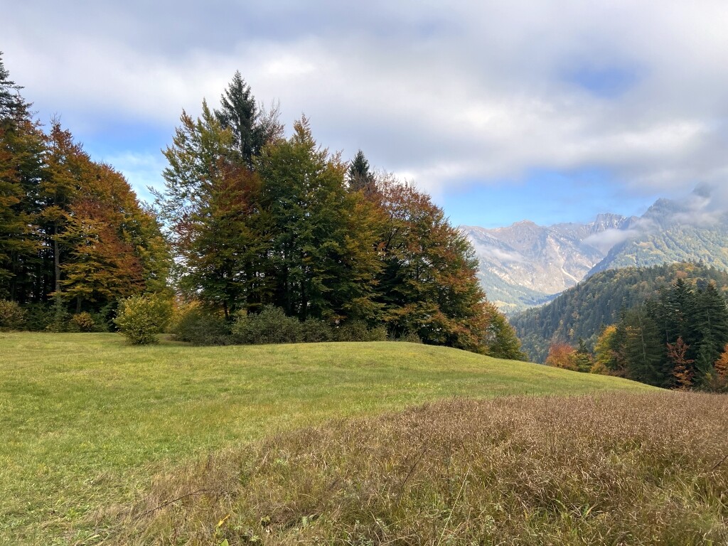 LSA-Abschnitt der unteren Höllwiespiste