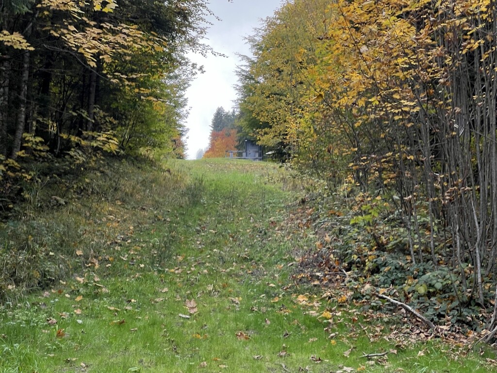 Lage neue Talstation oberhalb Edmund-Probst-Weg