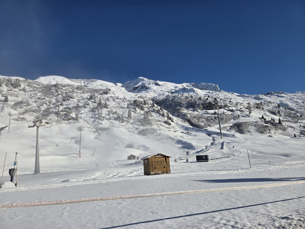 November_2025_Markus_Hahn (2).jpg