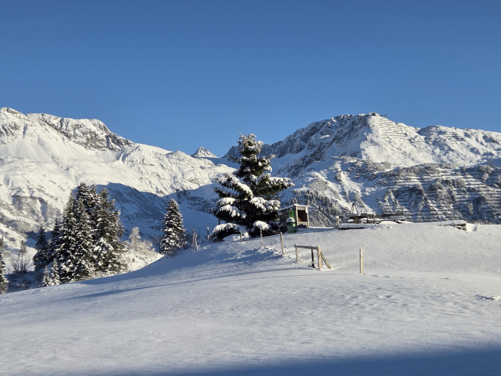 November_2025_Markus_Hahn (12).jpg