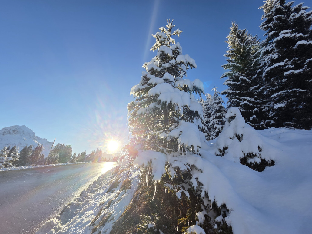 November_2025_Markus_Hahn (13).jpg