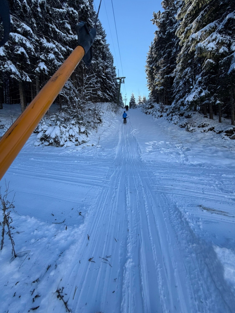 Die Lifttrasse verläuft teilweise durch den Wald