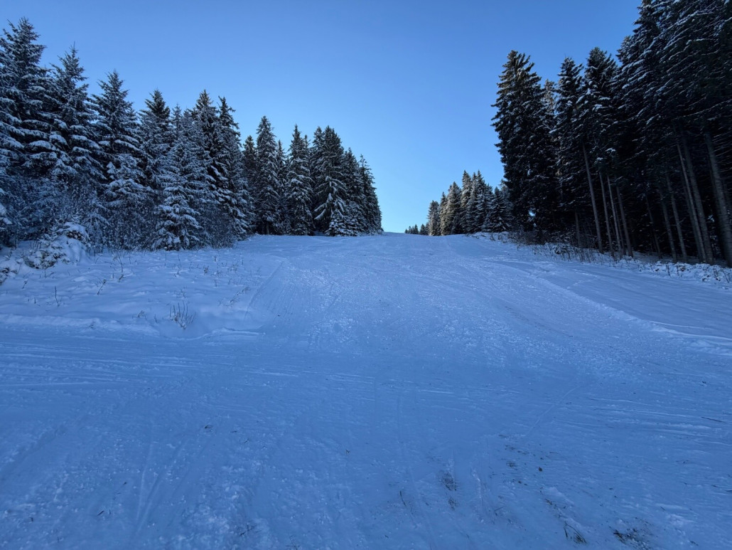 Mittlerer Teil der "Hintenrum"-Abfahrt