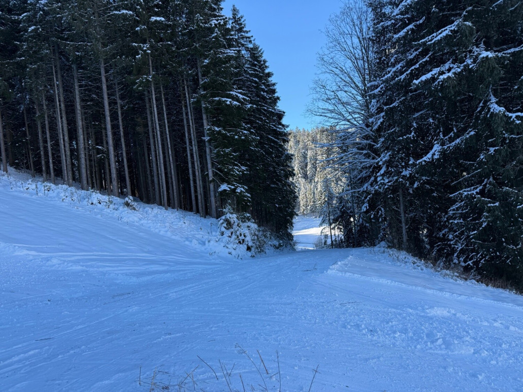 Ziehweg Richtung Haupthang, der Weg kreuzt die Lifttrasse