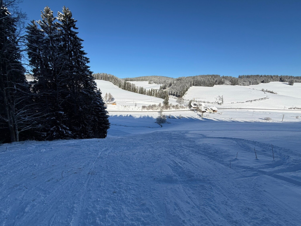 Unterer Teil der "Hintenrum"-Abfahrt, die Piste läuft unten links flach aus zur Talstation hin