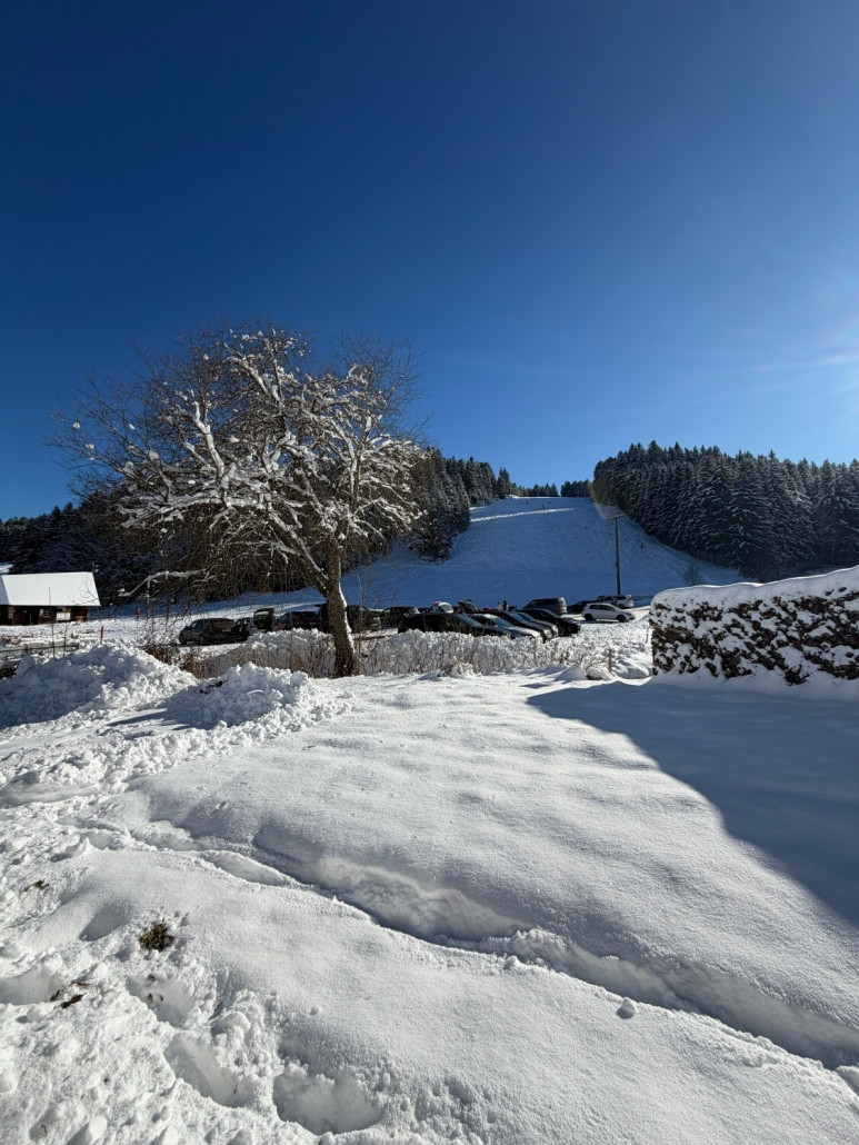 Letzter Blick auf den Hang