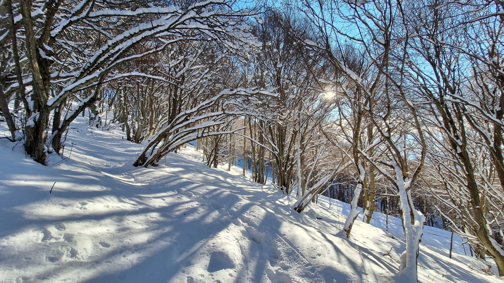 Aufstieg zu Fuss im Schnee nach Vetta
