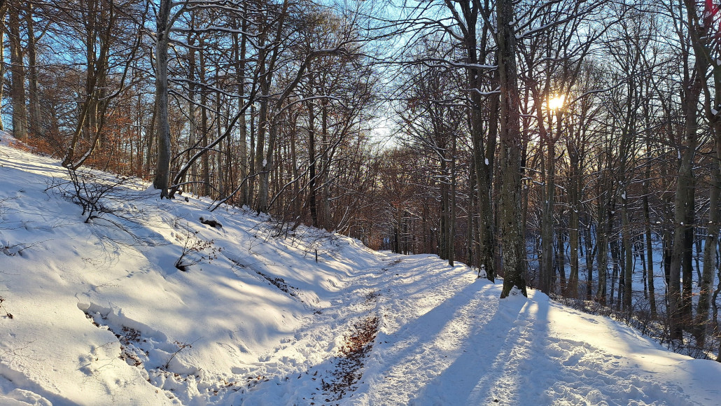 Im laufwald vom Wind geschützt blieb mehr Schnee