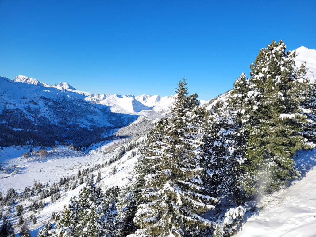 Blick aus der Grünwaldkopfbahn.