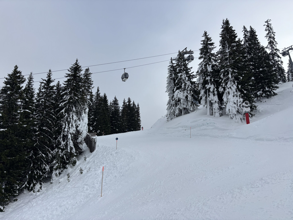 Eingeschneite Bäume - der Eindruck täuscht aber, es hat Plusgrade
