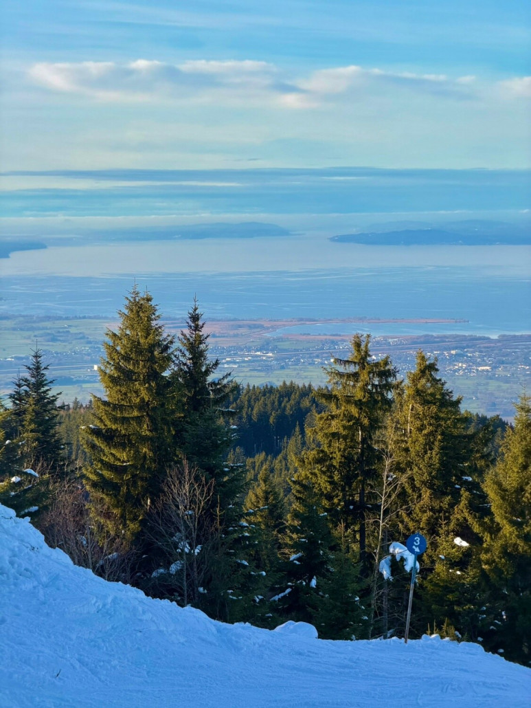 Fernblick über den Bodensee
