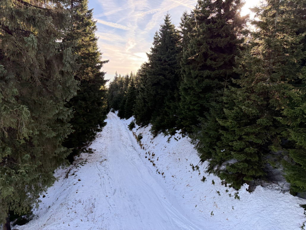 oberer Ziehweg von der "Parezovka" zur "Damska", reichte gestern so gerade eben als Rückbringer (offiziell geschlossen)