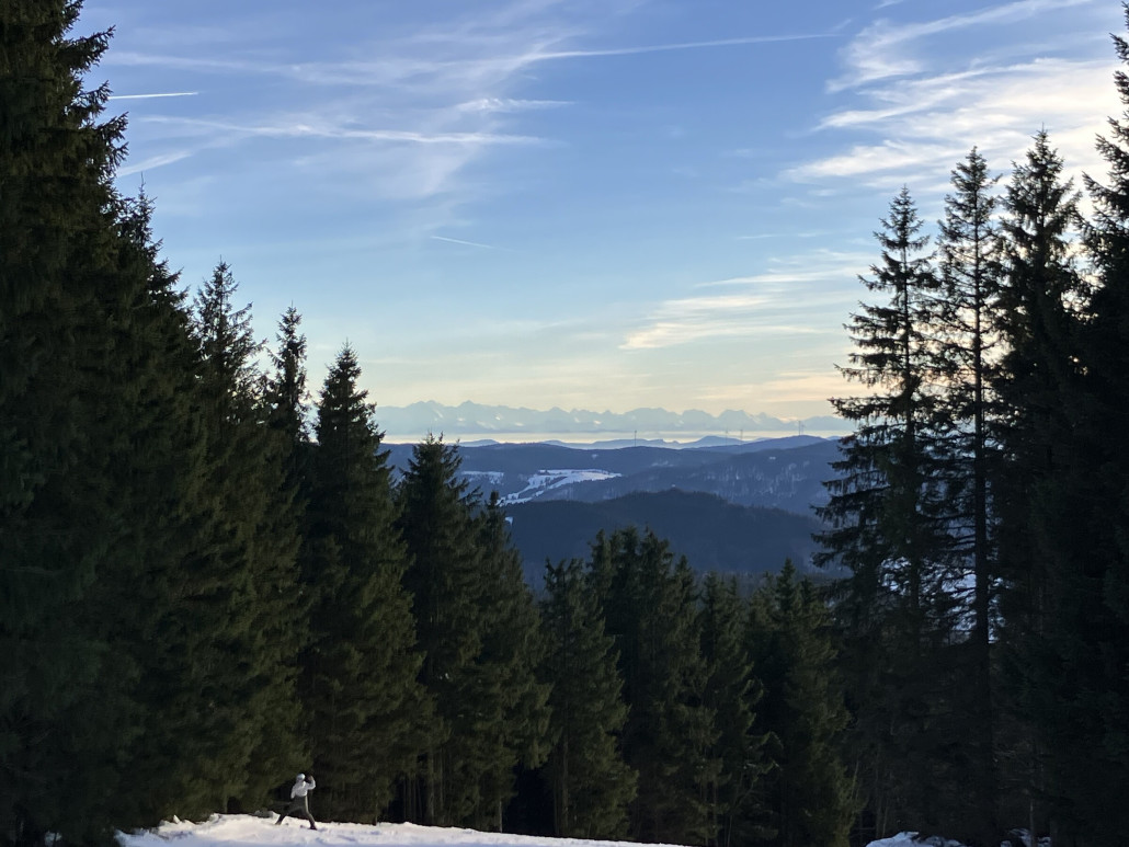 Alpensicht in Todtnauberg