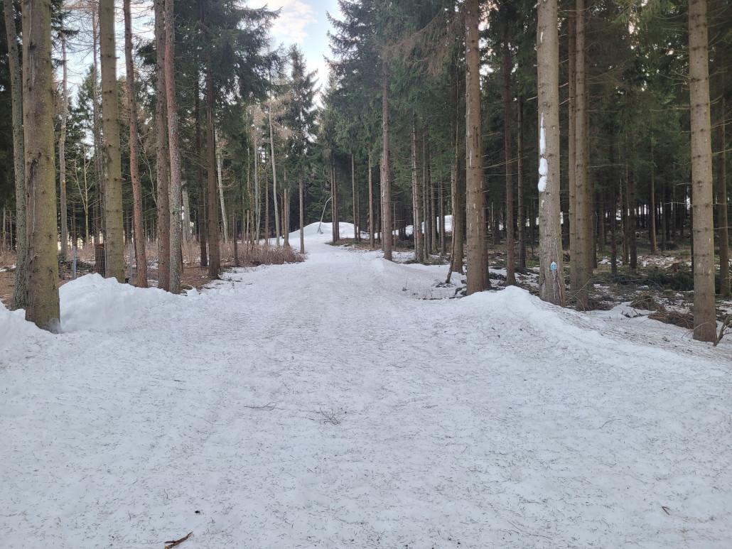 Ziehweg Piste zur Talstation