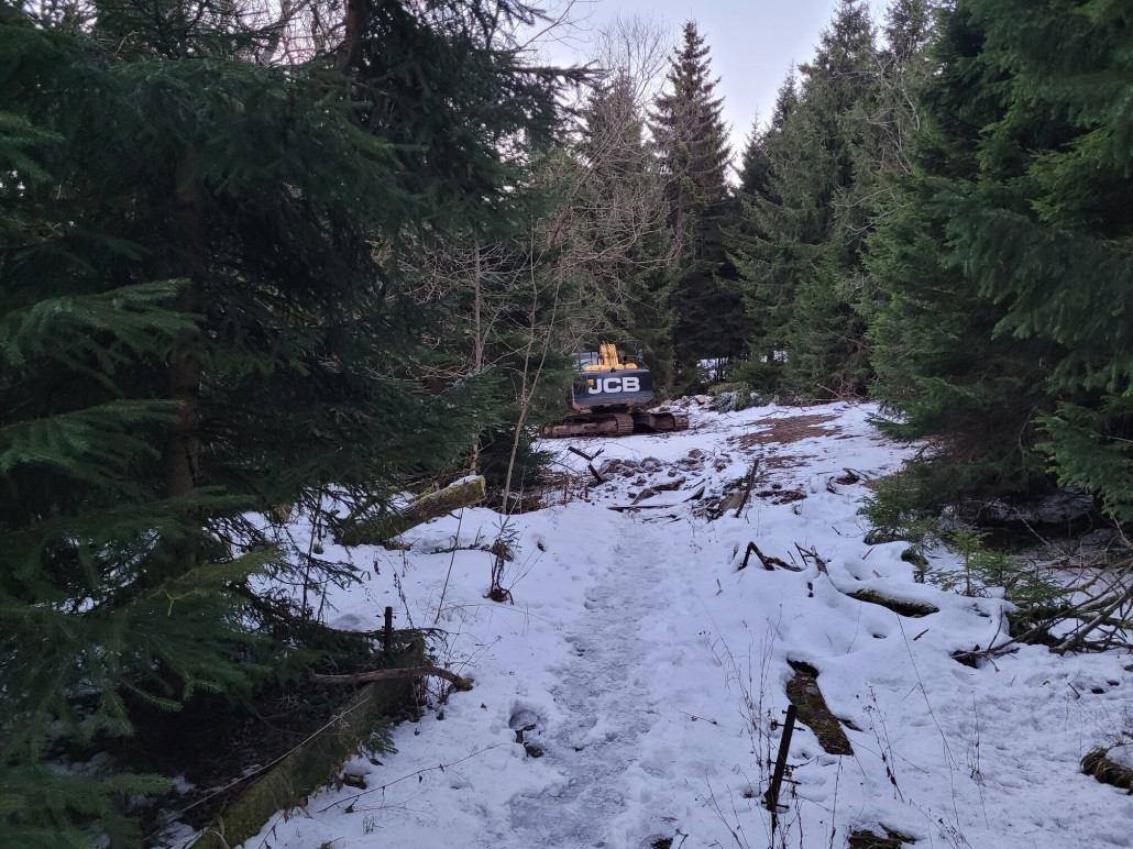 Blick von der alten Rodelbahn Richtung Zielkurve