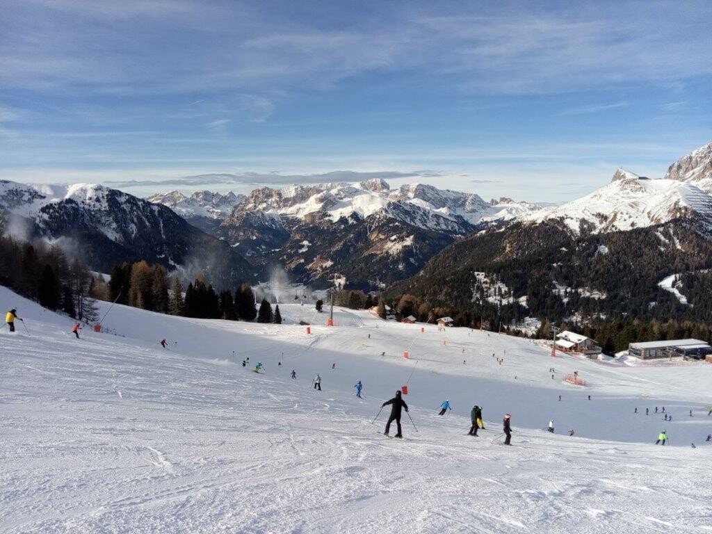 im Belvedere perfekt präpariert