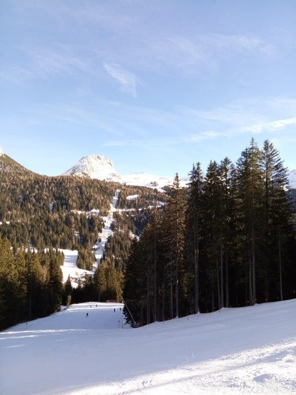 Tre tre am Nachmittag