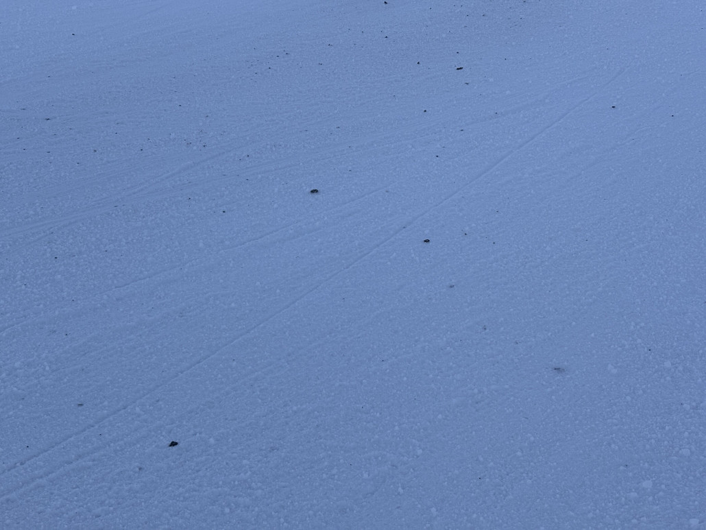 Immer wieder kann man Souvenirs aus den Bergen sammeln…