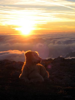 Sonnenaufgang Hochschwab 2.jpg