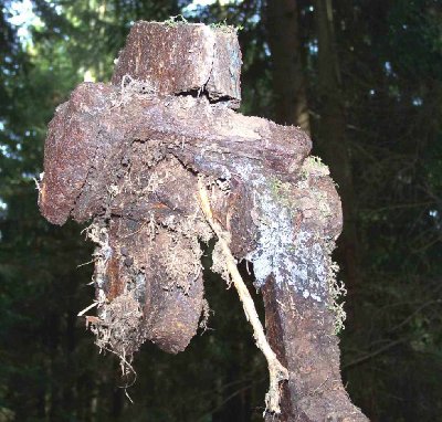 Kopf aus anderer Perspektive. Links Klemme für Zugseil (?)