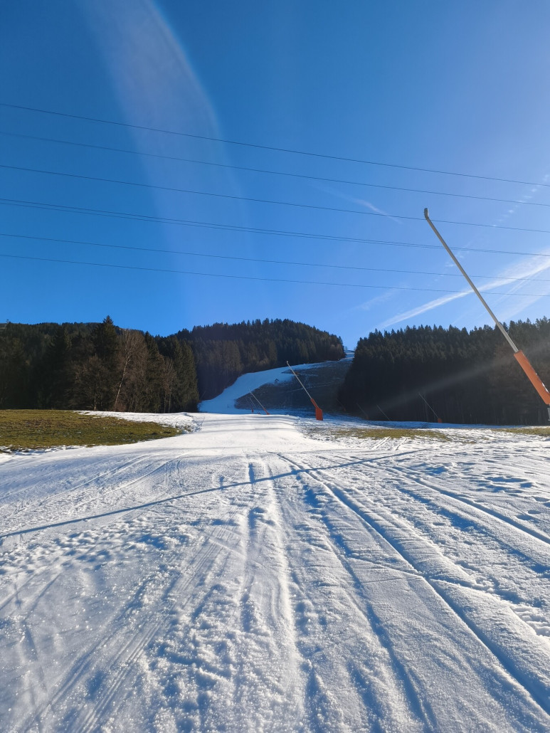 Die noch geschlossene Bauernpenzing (7a).