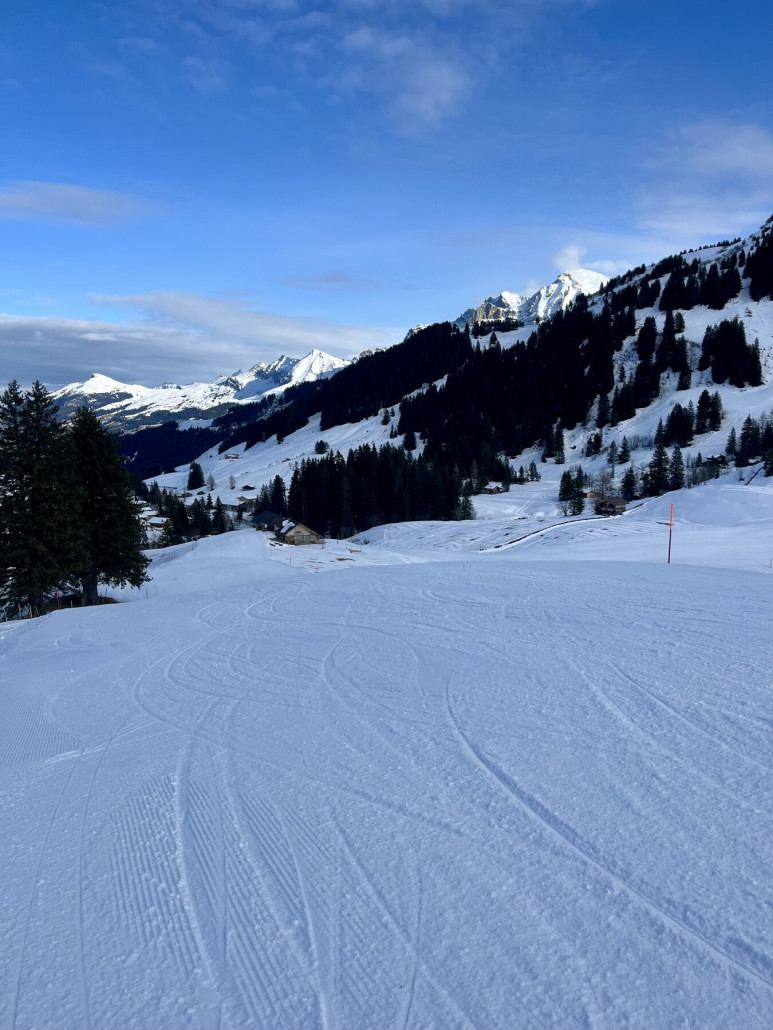 Abfahrt Metsch - Geils