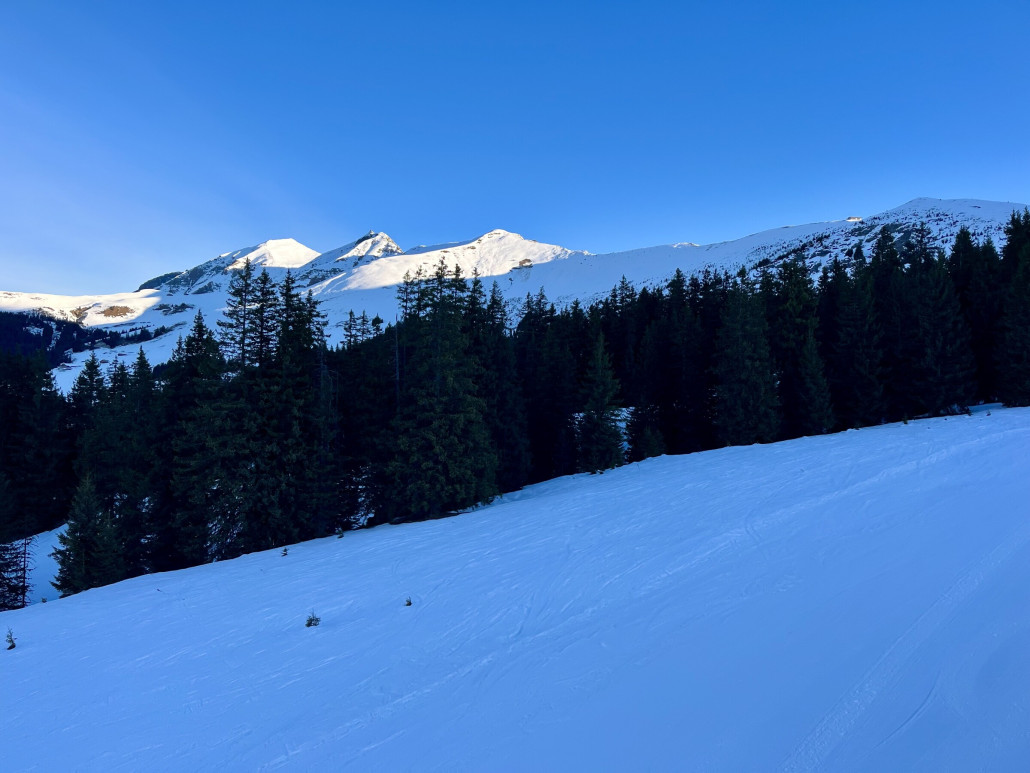 Bühlberg - Blick zum Albristhorn