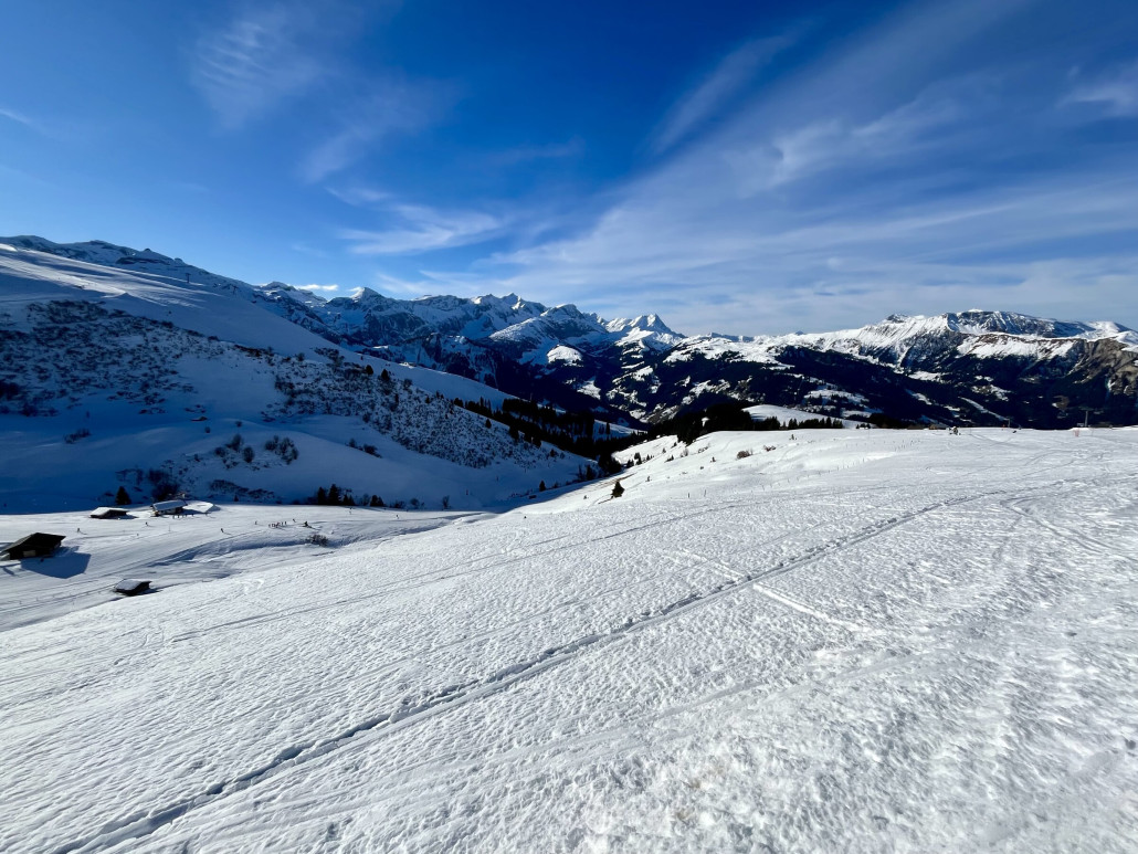 Bühlberg - Blick zur Metscherseite