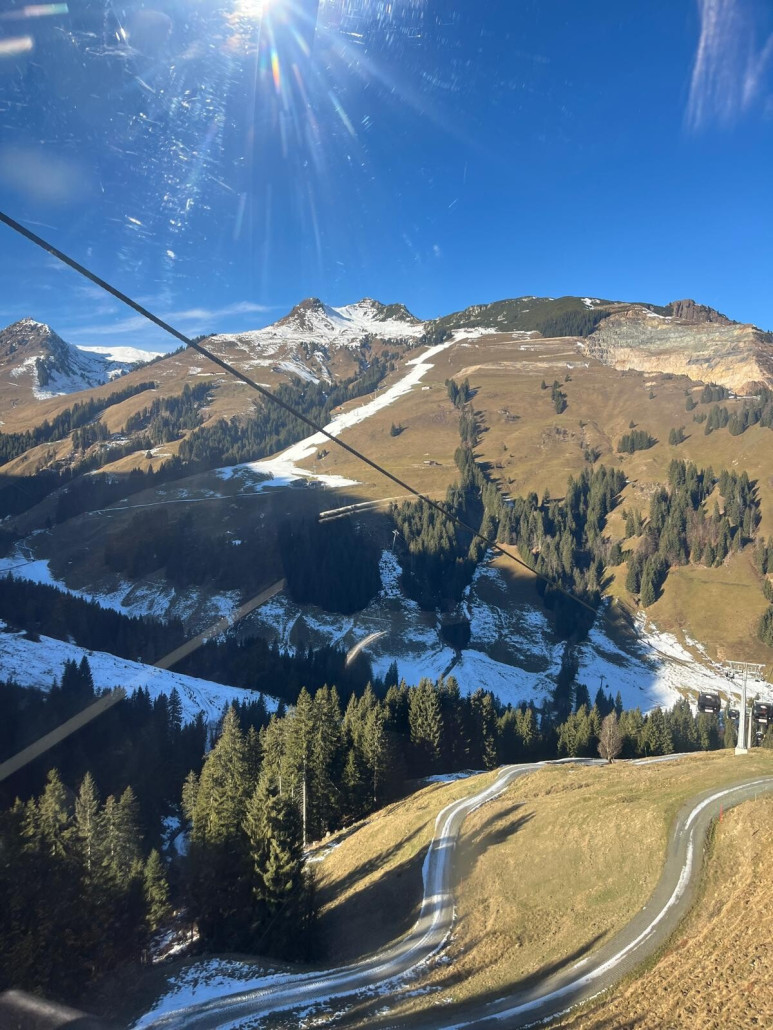 WhatsApp Image 2025-12-20 at 11.53.21 (1).jpeg