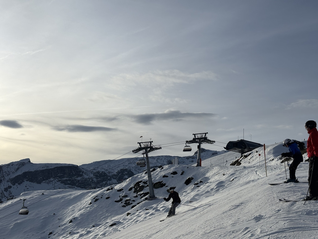 Hüttenkopf im Gegenlicht