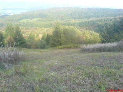 hier was aus den Saisonvorbereitungen! die wiese und das gestrüpp wurden gemäht! sonst wurde das beim ersten schnee immer mim bully platt gefahren! will da wieder jemand so früh wie letztes jahr den skibetrieb beginnen?!*hoff*