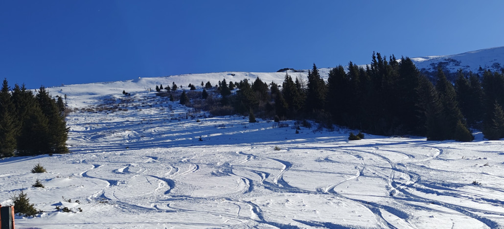LSAP Frantschacherabfahrt - bei genügend Schnee nur noch als Freeride fahrbar, aber wird auch leider nicht mehr ausgeholzt oder präpariert. War die einzige schwarze Abfahrt.