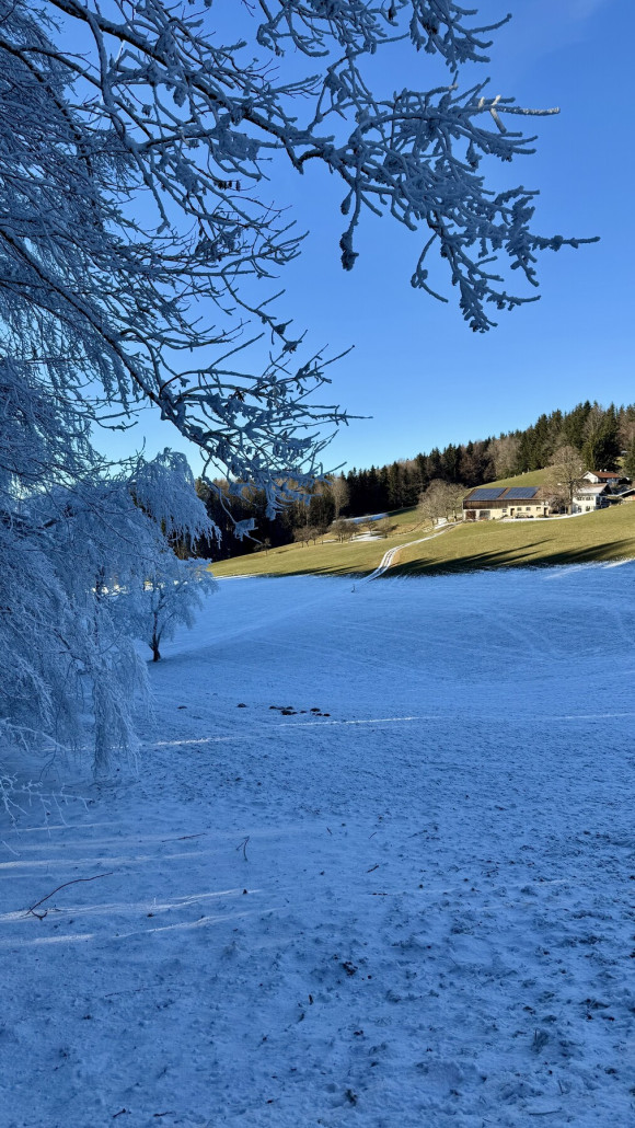 Halb Winter, halb Frühling
