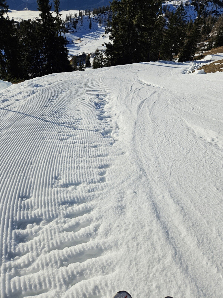 Die 15 vom Schneiderkogel
