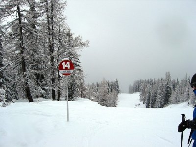 Piste &amp;quot;Myrtilles&amp;quot;