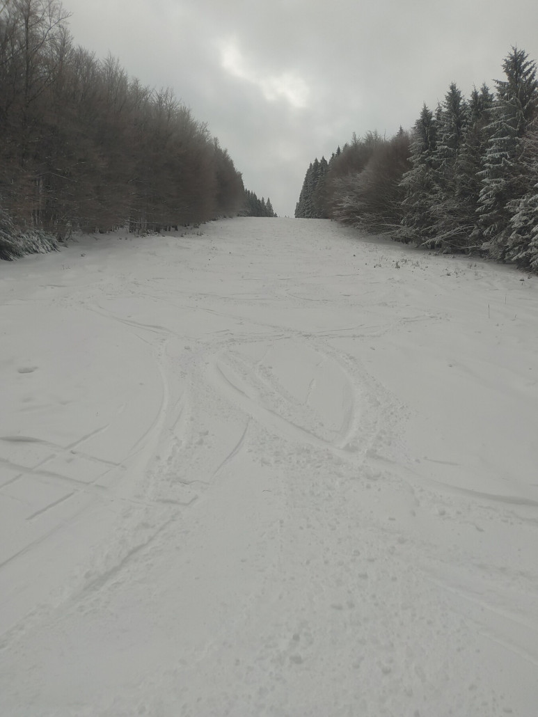 FIS-Hang unterer Teil morgens schon zerfahren vom Vortag