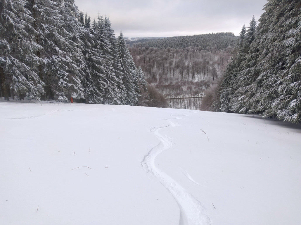 FIS-Hang morgens oben noch unverspurt...