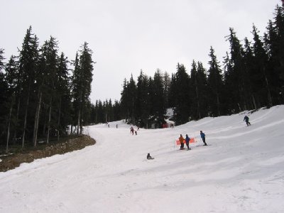 Piste &amp;quot;Aigle&amp;quot; Mittelteil