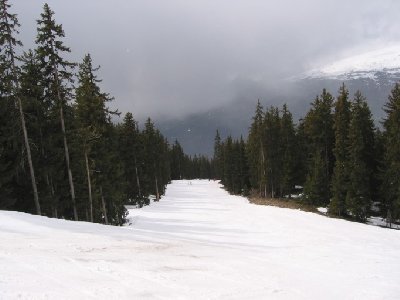 Piste &amp;quot;Aigle&amp;quot; oberer Bereich