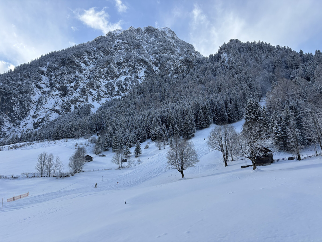 Die Laubbaumgrenze im Brandnertal ist übrigens höher als in Restvorarlberg
